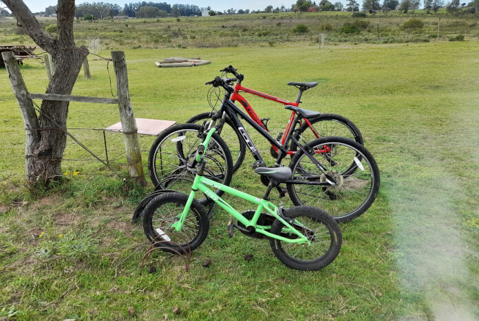 Bicis para toda la familia, sin costo!