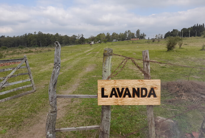Entrada retirada de la calle, super tranquilo y seguro!